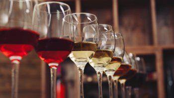 cuatro comparaciones para aprender de vinos