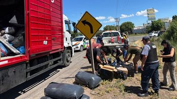 En Cipolletti rige la ordenanza Pirotecnia Cero. En Cipolletti rige la ordenanza Pirotecnia Cero.
