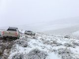 La ola polar no da tregua en la Patagonia: ya son tres las personas perdidas en la nieve
