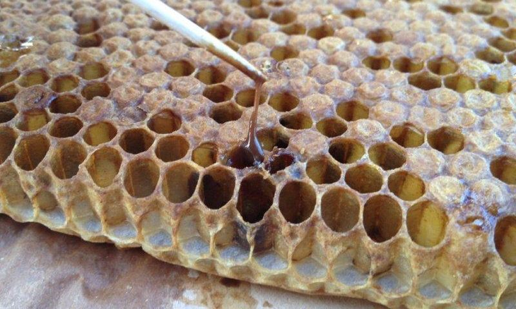 Colmena fuerte con 50.000 abejas: el superorganismo apícola resiste infecciones gracias a manejo integrado, clave en Río Negro para evitar brotes. Colmena fuerte con 50.000 abejas: el superorganismo apícola resiste infecciones gracias a manejo integrado, clave en Río Negro para evitar brotes.
