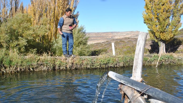La producción de truchas en Villa Puente Picún Leufú. La producción de truchas en Villa Puente Picún Leufú.