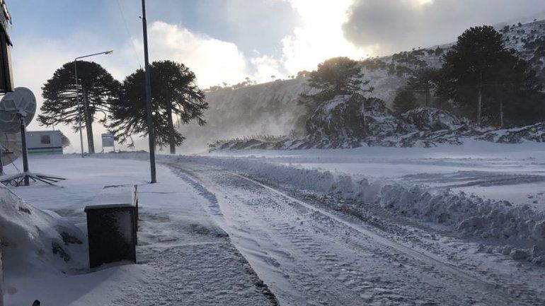 Pino Hachado continúa intransitable por fuertes nevadas