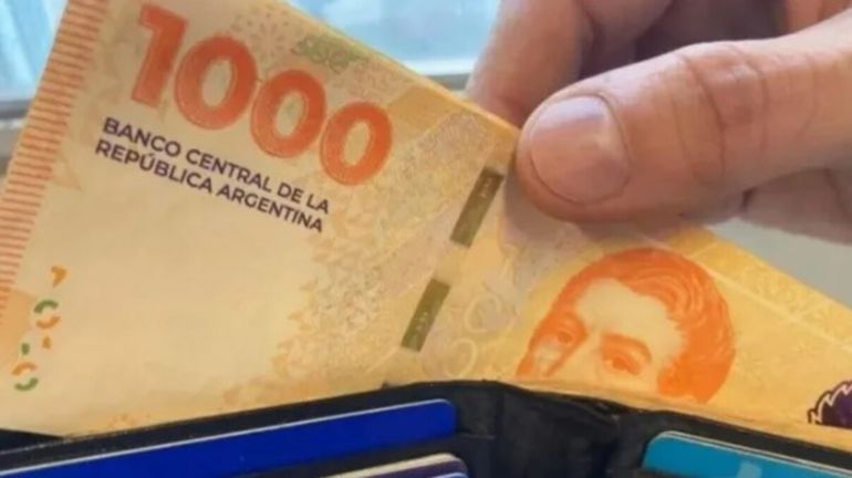 Quiénes son los beneficiarios de ANSES que no cobrarán el aguinaldo en junio