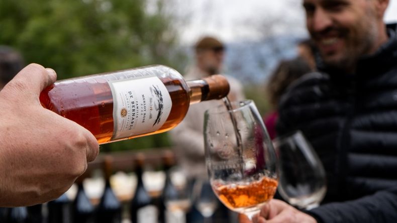 Río Negro celebra el enoturismo: 12 bodegas abren tranqueras para visitas, degustaciones y aprender del vino desde adentro. | LM Neuquen Río Negro celebra el enoturismo: 12 bodegas abren tranqueras para visitas, degustaciones y aprender del vino desde adentro.