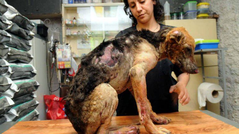 Las pericias afirmaron que Manson es peligroso para sí y para terceros.