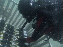 El fenómeno de los vinos rionegrinos no deja de sorprender. El fenómeno de los vinos rionegrinos no deja de sorprender.