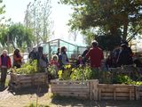 La huerta primavera-verano es una de las capacitaciones gratuitas de la semana.