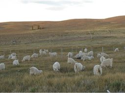 asistencia directa a comunidades mapuches para afrontar la sequia asistencia directa a comunidades mapuches para afrontar la sequia