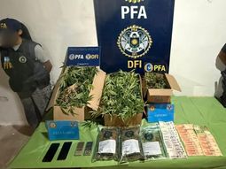 Más de 80 plantas, plantines, cogollos, balanzas, teléfonos y dinero secuestró la Policía Federal en Fernández Oro. Fue producto de una investigación iniciada hace meses. Más de 80 plantas, plantines, cogollos, balanzas, teléfonos y dinero secuestró la Policía Federal en Fernández Oro. Fue producto de una investigación iniciada hace meses.