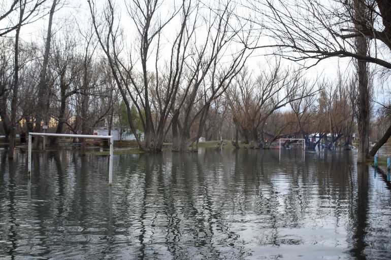 En algunas zonas de la costa del río Neuquén en Centenario el agua no baja. Los vecinos desconfían de la información oficial de los caudales. En algunas zonas de la costa del río Neuquén en Centenario el agua no baja. Los vecinos desconfían de la información oficial de los caudales.
