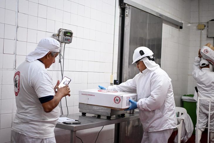 El histórico embarque salió desde Pampa del Infierno rumbo a Omán y marca un nuevo impulso para la producción ganadera chaqueña. El histórico embarque salió desde Pampa del Infierno rumbo a Omán y marca un nuevo impulso para la producción ganadera chaqueña.