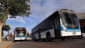 La Municipalidad de Neuquén actualizará la estructura de costos del COLE y mantendrá la tarifa más accesible del país La Municipalidad de Neuquén actualizará la estructura de costos del COLE y mantendrá la tarifa más accesible del país