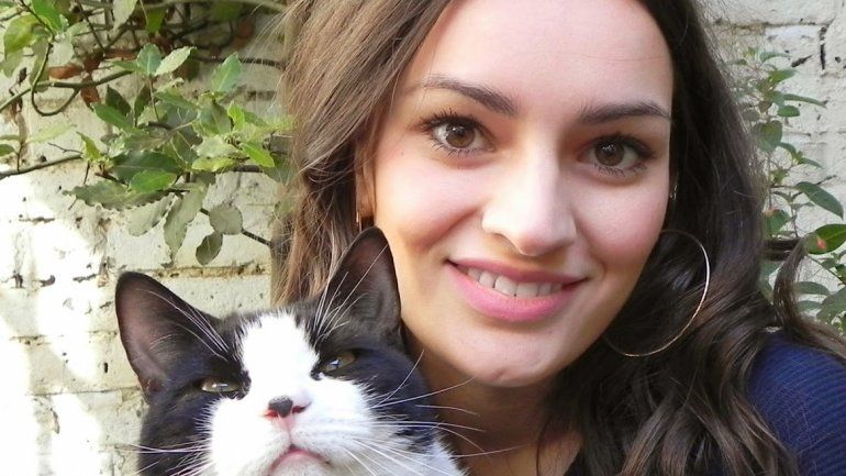 Los felinos también brindan gestos de aceptación