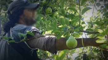 sufrio un accidente cosechando y deberan indemnizarlo con $147 mil sufrio un accidente cosechando y deberan indemnizarlo con $147 mil