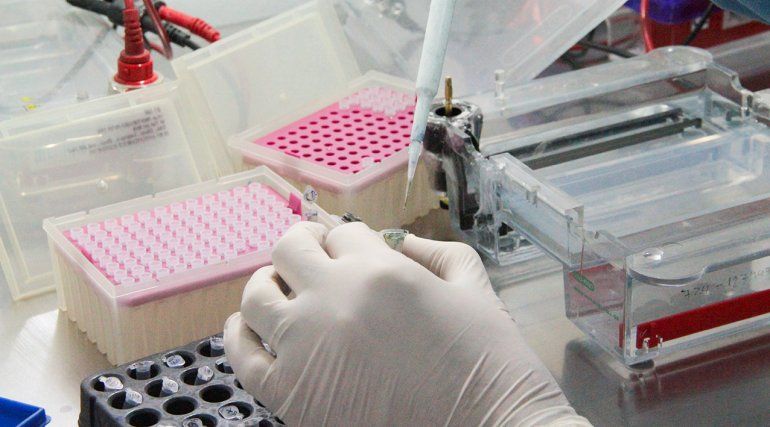 Los reactivos ya llegaron a la provincia para comenzar a hacer los testeos.