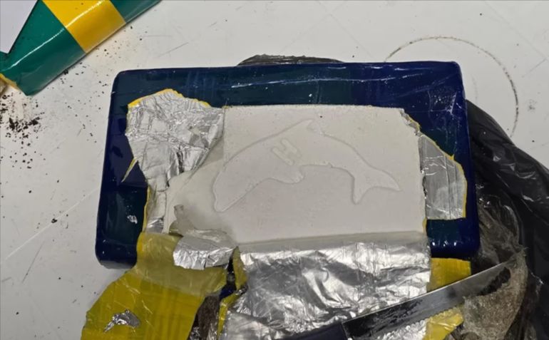 Los narcotest revelaron que la cocaína que el camionebo transportaba rumbo a Tierra del Fuego tenía un 99% de pureza. Los narcotest revelaron que la cocaína que el camionebo transportaba rumbo a Tierra del Fuego tenía un 99% de pureza.