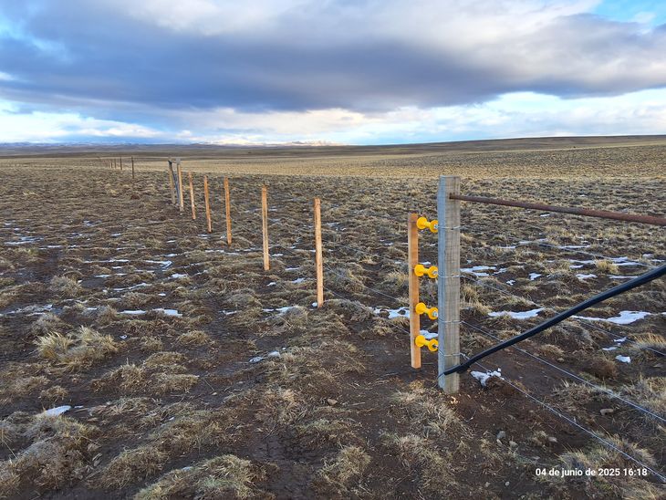 Estas prácticas combaten la desertificación y fortalecen la resiliencia. Foto: gentileza Ovis 21.