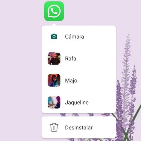 Funciones ocultas en el ícono de WhatsApp.