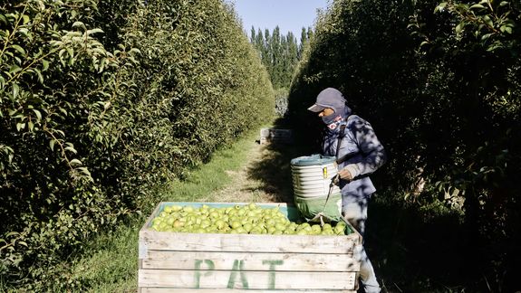 Los trabajadores rurales de la región, no están incluídos en este beneficio.