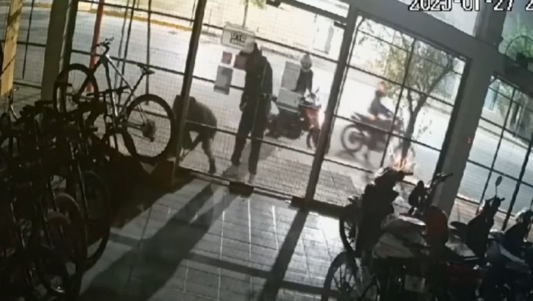 Resurgen los patachorros y buscan hacerse de motos nuevas para vender en el mercado negro.