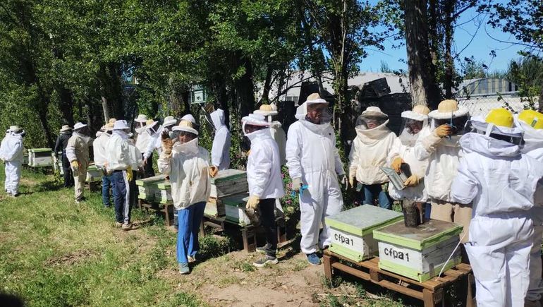 Dos jóvenes emprendedores sueñan con vivir de la miel que producen
