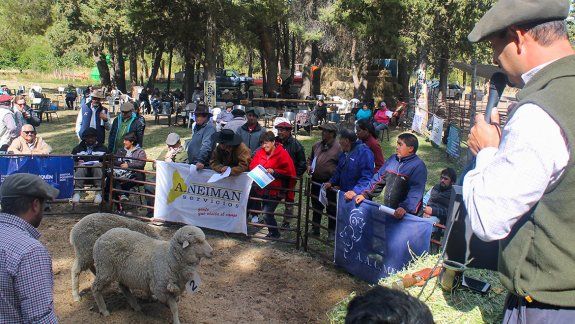 Todos contentos con la muestra de tranqueras abiertas