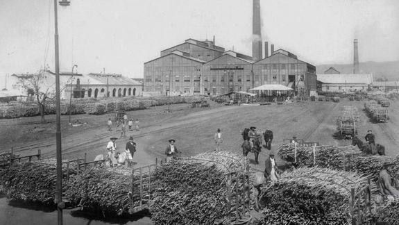 Una familia, 140.000 hectáreas y 7.000 empleos: así se construye un siglo de agroindustria. Foto: @comunidadledesma