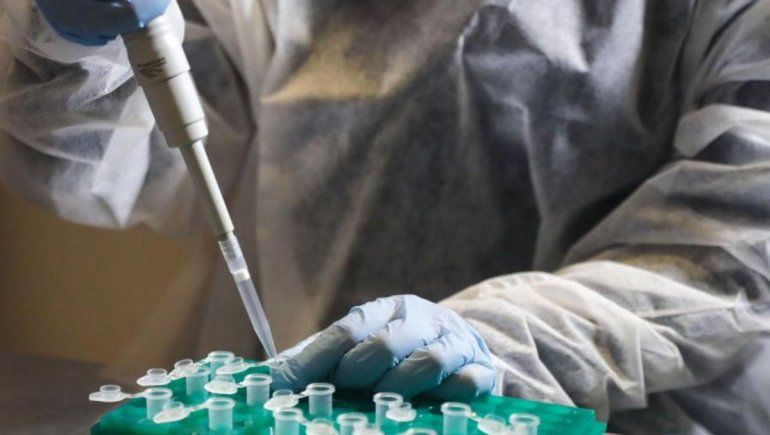 Vacuna de Moderna: resultados positivos en adultos mayores