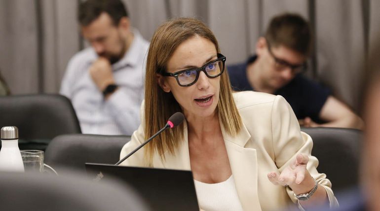 Tanya Bertoldi argumentó porque está en contra de la Ley Bases. Tanya Bertoldi argumentó porque está en contra de la Ley Bases.