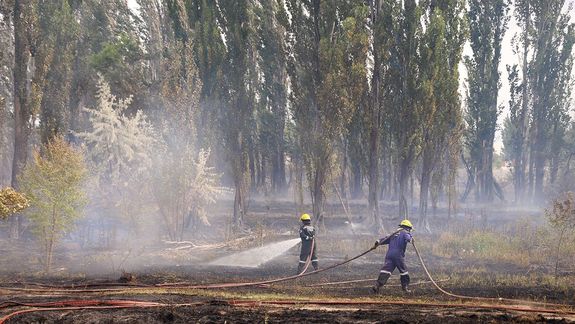 Preocupante: la chacra del ingreso a Valentina Sur sufrió su séptimo incendio en 10 días