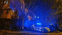 Brutal ataque a un vecino de San Martín de los Andes