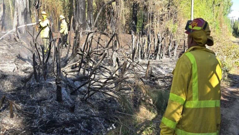 Preocupación por el tercer incendio en una chacra de Centenario