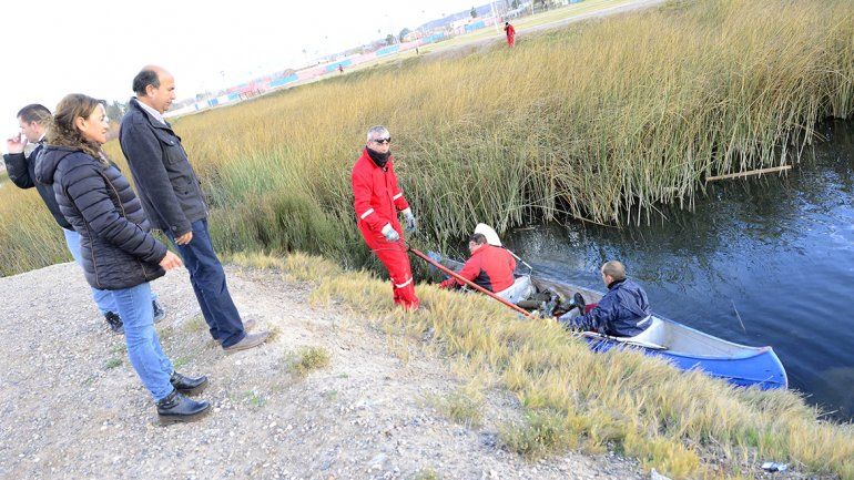 Limpian la laguna de San Lorenzo y el Parque del Oeste