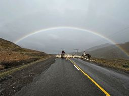 Arreo sobre la Ruta Provincial 43, en el sector El Cudío, entre Andacollo y Chos Malal. Foto IG @lizzmarilina&nbsp;