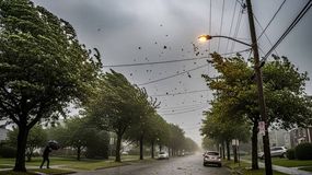 Se trata de un fenómeno ocasionado por el cambio climático. | LM Neuquen Se trata de un fenómeno ocasionado por el cambio climático.