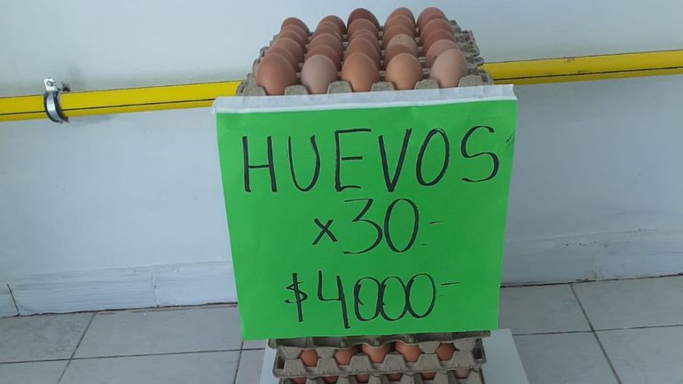 Los contactos interactúan y se pasan datos y fotos para encontrar los mejores precios. Los contactos interactúan y se pasan datos y fotos para encontrar los mejores precios.