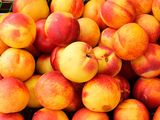 España: cosecha de fruta de carozo con 1% más de producción