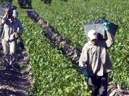 Los trabajadores recibirán el incentivo económico en su cuenta bancaria. Foto: WofA Los trabajadores recibirán el incentivo económico en su cuenta bancaria. Foto: WofA
