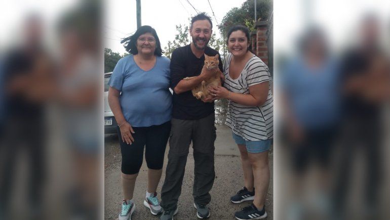 El gato viajero Gandalf se reencontró con su familia