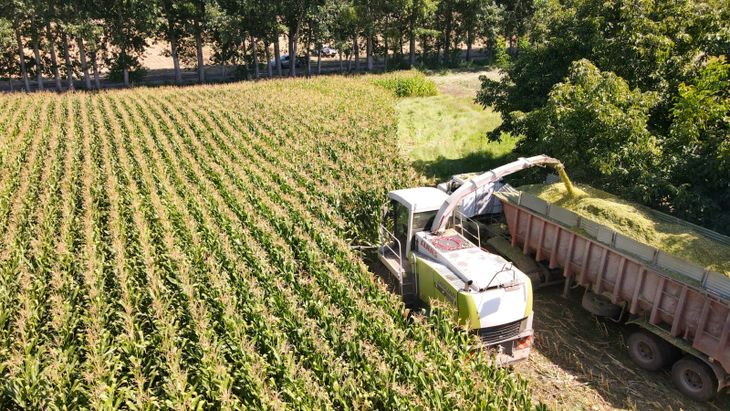Del grano húmedo al feedlot propio: el sistema integrado que potencia la rentabilidad en Río Negro. Del grano húmedo al feedlot propio: el sistema integrado que potencia la rentabilidad en Río Negro.