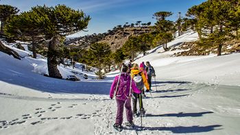 que pasara con el parque de nieve de primeros pinos que pasara con el parque de nieve de primeros pinos