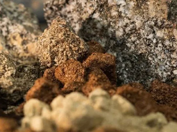 China domina la producción mundial con 270 kilotoneladas anuales, controlando el 70% del suministro global de tierras raras. China domina la producción mundial con 270 kilotoneladas anuales, controlando el 70% del suministro global de tierras raras.