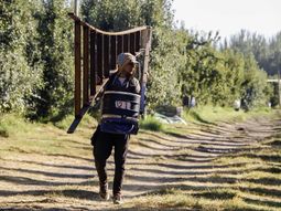 A semanas de dar inicio la cosecha en el Valle, no hay definición sobre los salarios. A semanas de dar inicio la cosecha en el Valle, no hay definición sobre los salarios.