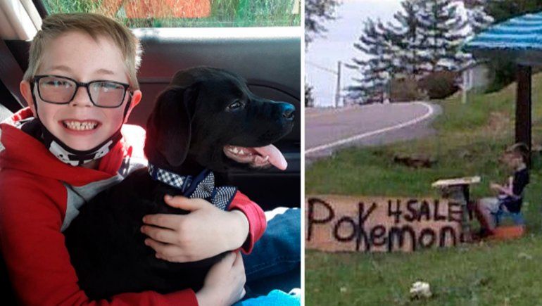 Twitter: niño vende colección de cartas Pokémon para salvar a su perro.