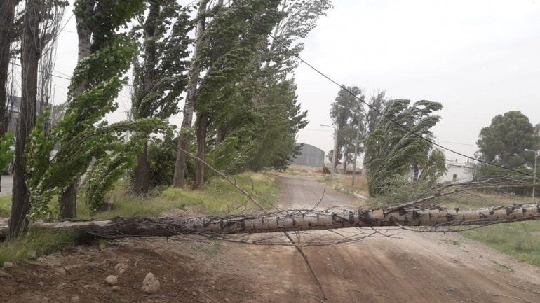 CALF adjudicó al viento los cortes de luz en la ciudad