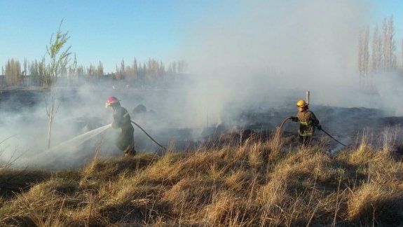 Preocupación por incendio de pastizales en 127 Hectáreas
