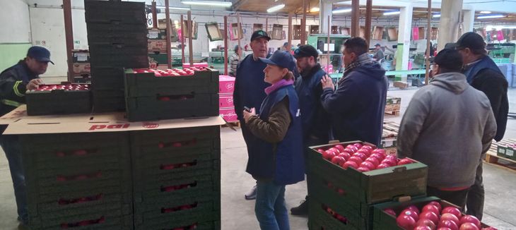 La visita de una misión técnica estadounidense busca fortalecer un sistema que permitió exportar cerca de 57.000 toneladas de frutas argentinas a Estados Unidos durante 2025. La visita de una misión técnica estadounidense busca fortalecer un sistema que permitió exportar cerca de 57.000 toneladas de frutas argentinas a Estados Unidos durante 2025.