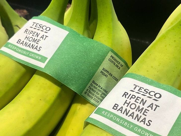 Estas nuevas bananas permiten lograr una vida útil extendida de hasta cuatro días adicionales. Estas nuevas bananas permiten lograr una vida útil extendida de hasta cuatro días adicionales.