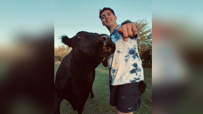 Clota: la vaca-perro que es furor en TikTok