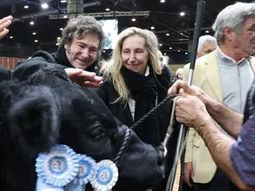 rural de palermo 2024: de errores de calculo y expectativas... rural de palermo 2024: de errores de calculo y expectativas...